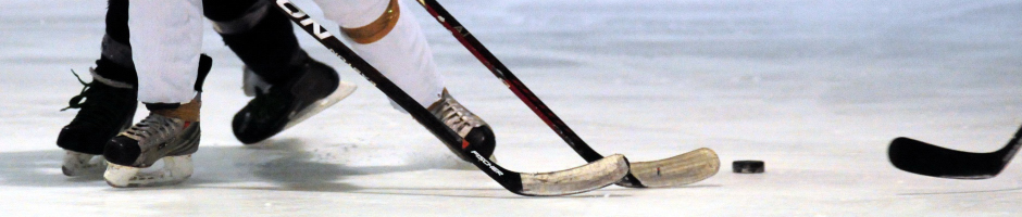 Sport aus Mainz - Eishockey